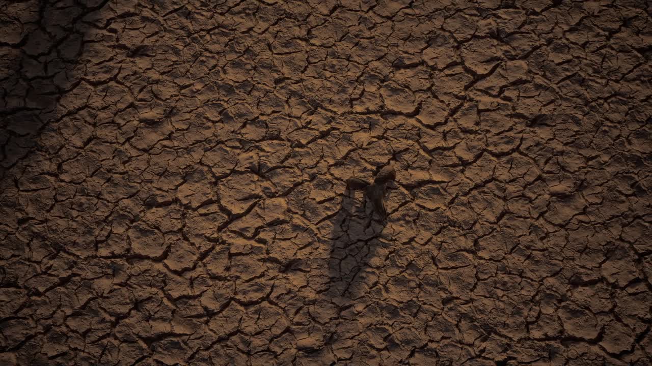 la agricultura de canal medio se seca por la sequía y la ola de calor en verano. crisis de agua y estrés hídrico en verano durante la sequía a largo plazo en verano, animales de cráneo óseo