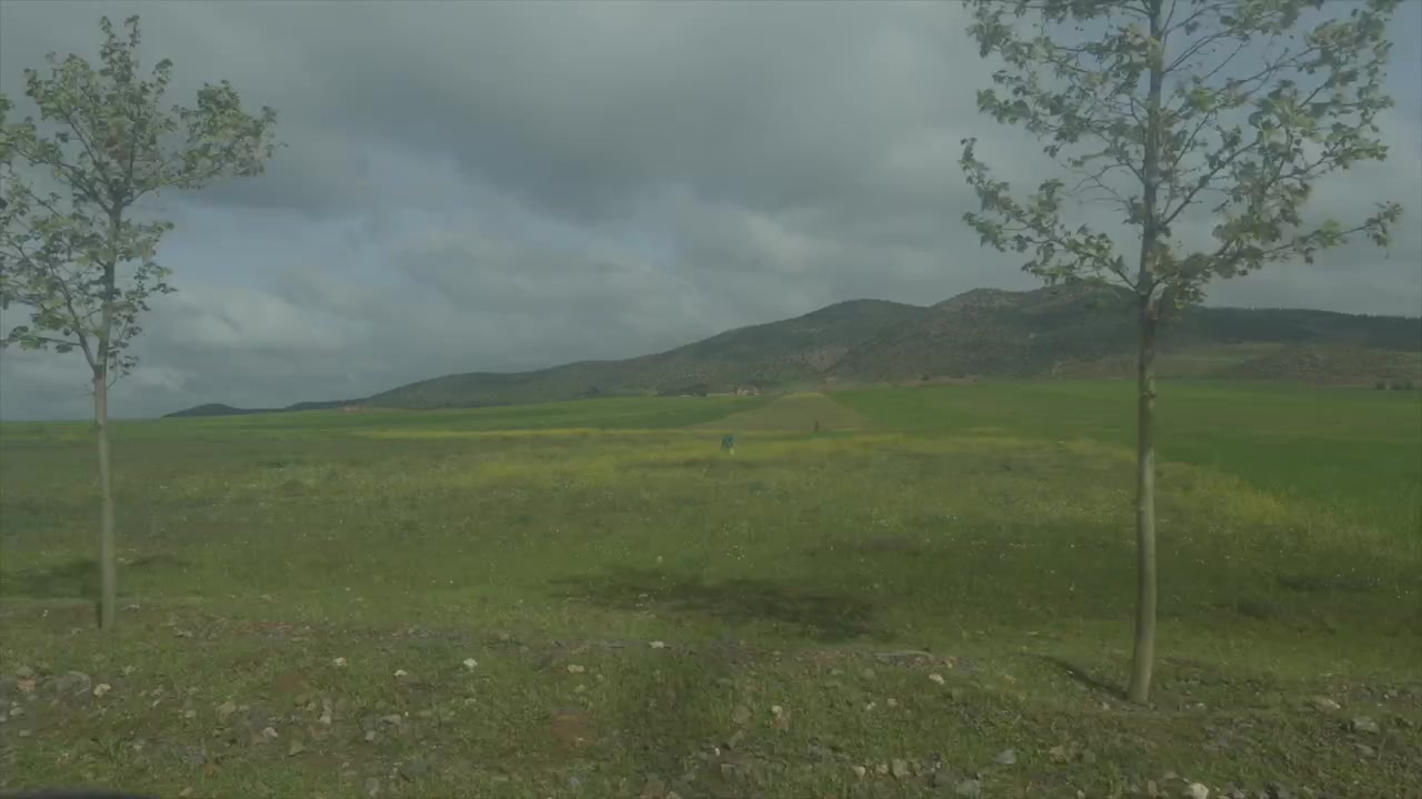 Padang hijau luas dengan pohon-pohon yang tersebar dan bukit-bukit di bawah langit berawan