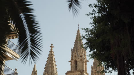 Tilting-Up-Catedral-Basílica-de-Santa-María-de-Mallorca-on-a-Sunny-Day