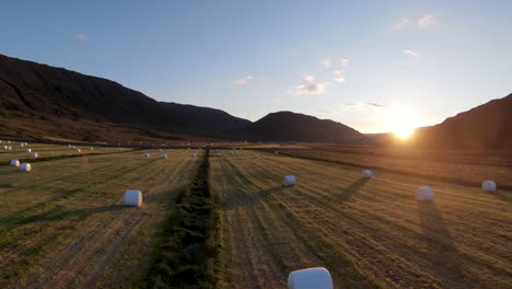 Amanecer-Dorado-En-El-Campo-De-Heno.-Tiro-Estable