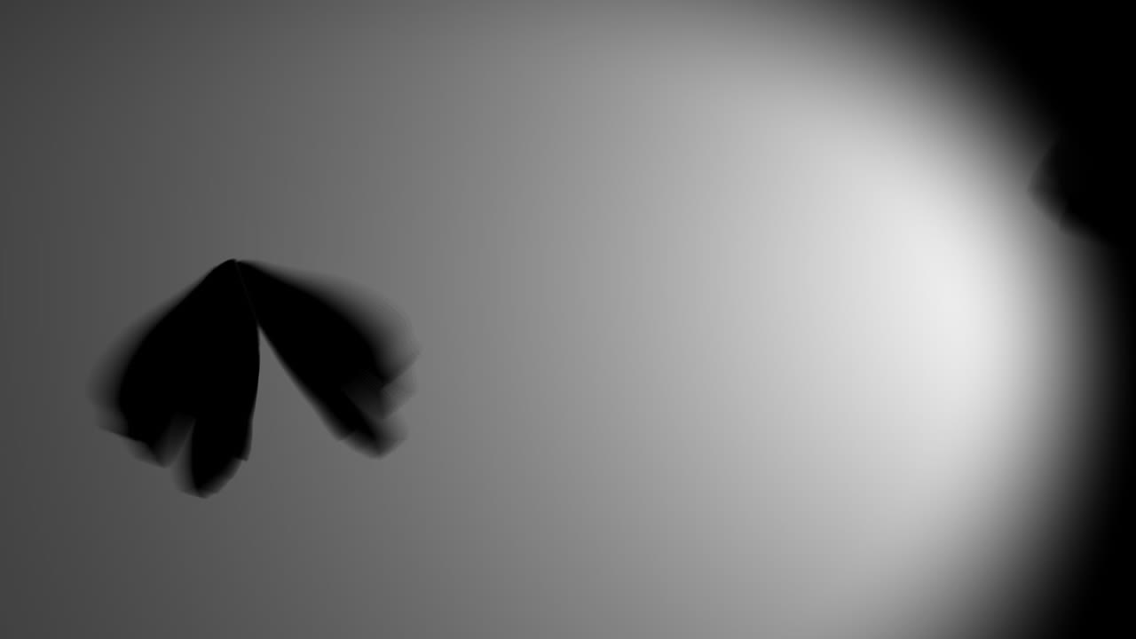 여러 마리의 나비가 날아다닌다.