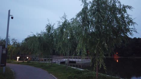 Spaziergang-Im-Park-Bei-Nacht-Mit-See-In-Der-Nähe