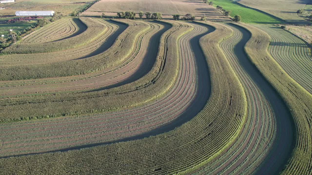 남서부 위스콘신-1의 등고선 농장