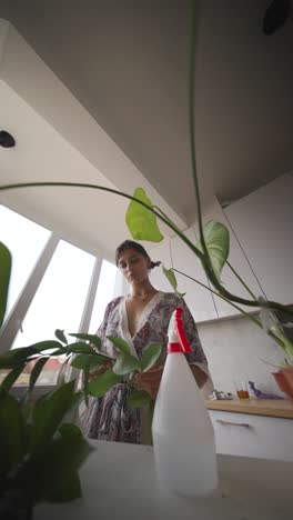 woman caring for houseplants in a kitchen