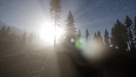 Milky-Way-stars-with-moonlight-above-pine-trees-forest