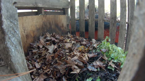 looking inside diy pallet compost bin adding fall leaves to pile