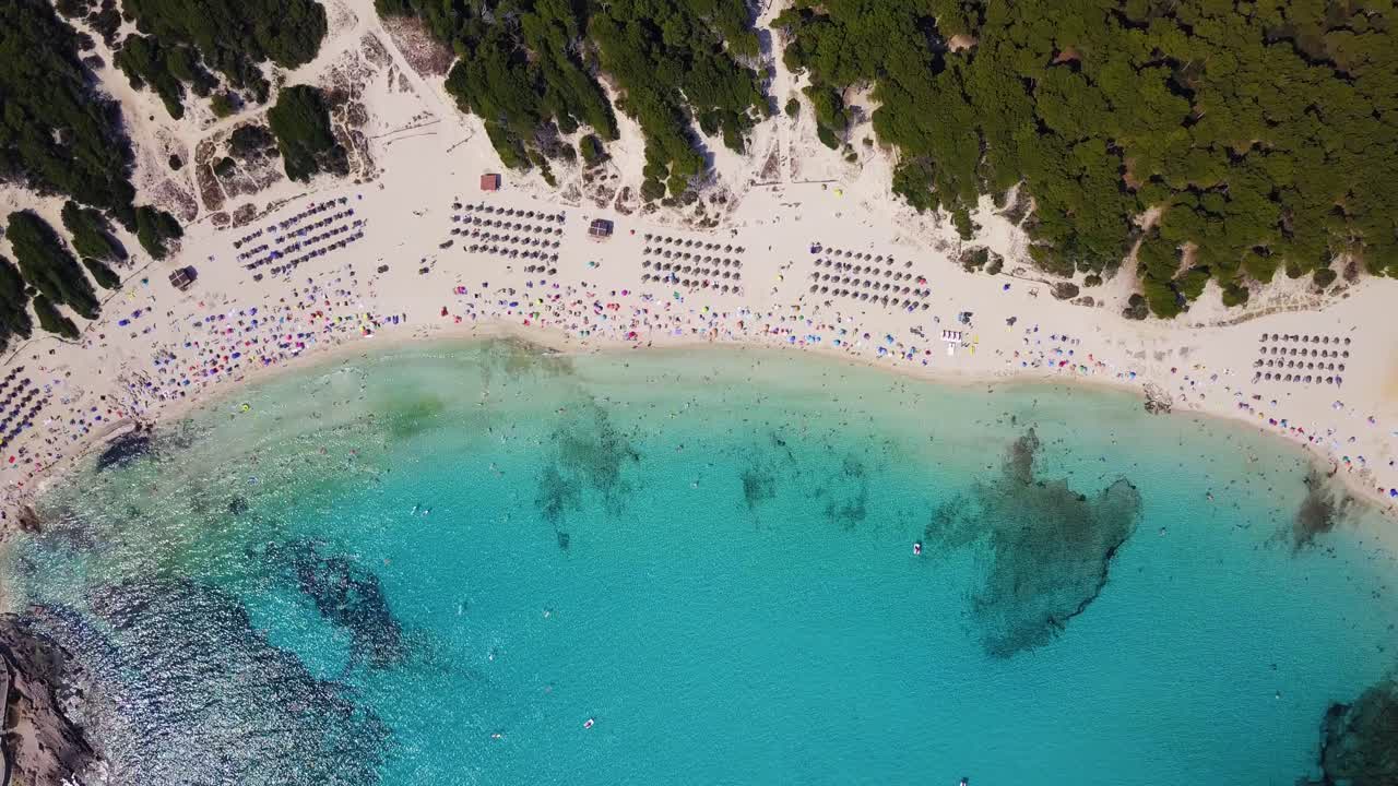Cala agulla, vibrant beach with tourists, clear turquoise water, and umbrellas, aerial view