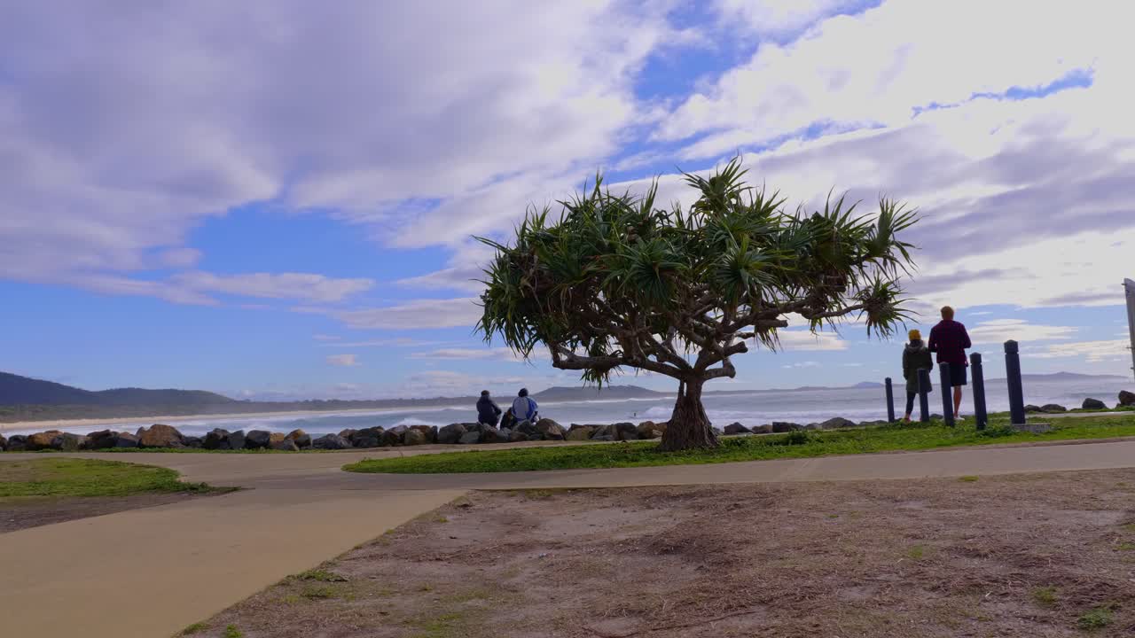 gente de pie en la costa cerca de un árbol de pino tornillo - pandanus tectorius en la playa en crescent head - turismo de nueva gales del sur, australia - plano general