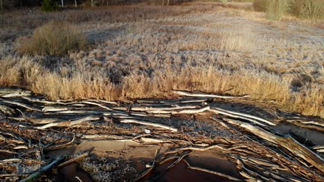 reveal driftwood and lake during frozen winter, pull back aerial