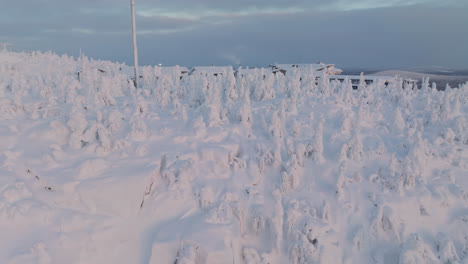 aerial view overlooking sunlit, snow covered forest on top of the iso-syote fell, sunrise in finland