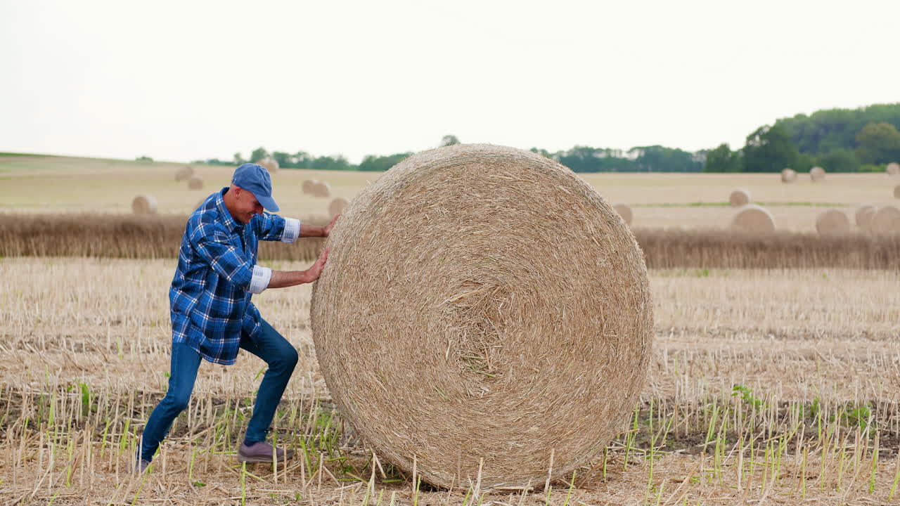 granjero luchando mientras rueda fardos de heno en la granja 1