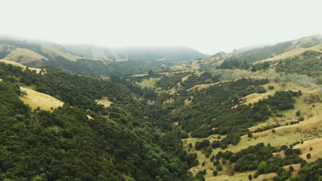 Drone-view-of-thick-fog-rolling-over-mountainous-hills-and-valley-in-New-Zealand-countryside-full-of-steep-inclines-and-forests