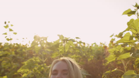 romantic girl in sunflower field