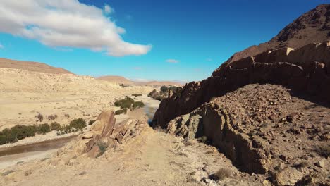 Un-Cañón-Con-Un-Río-Entre-Montañas-Y-Palmeras