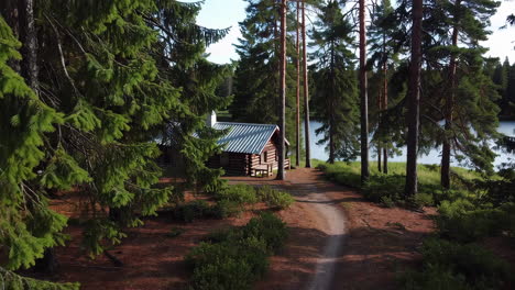 rustic log cabin nestled in a pine forest by a lake
