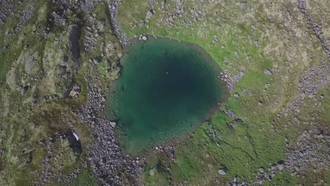 lowering drone shot of an isolated lake in backcountry alaska