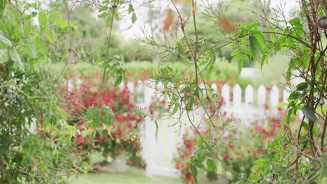 Branches-with-green-leaves-and-white-fence-and-trees-in-background