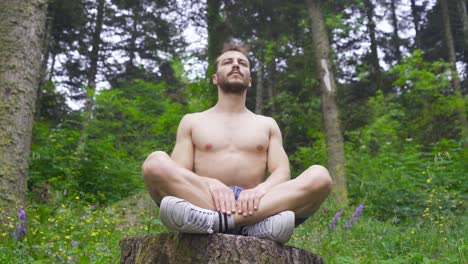 athlete man doing warm-up exercises in the forest.