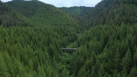 aerial view of bridge cutting through rugged forested mountains in washington