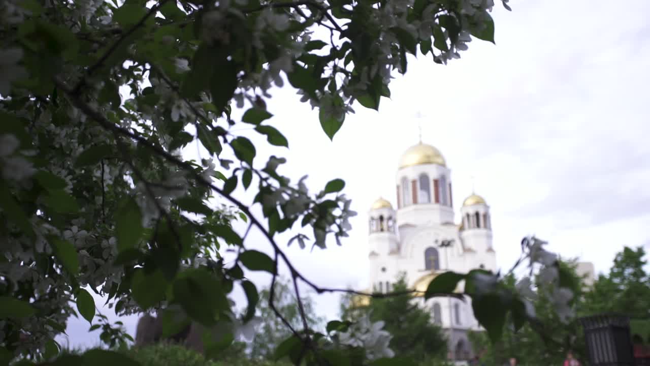 белая церковь, окруженная весенними цветами.