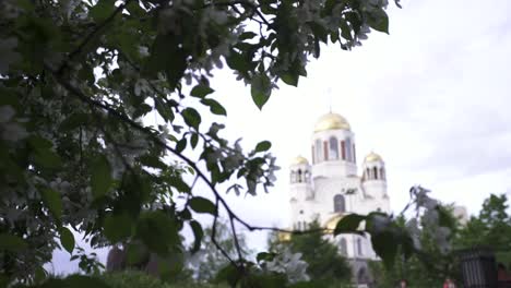 iglesia blanca rodeada de flores de primavera