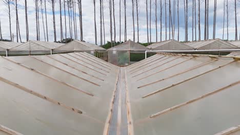 Drone-footage-captures-a-wide-shot-of-a-greenhouse-roof-in-a-horticultural-facility