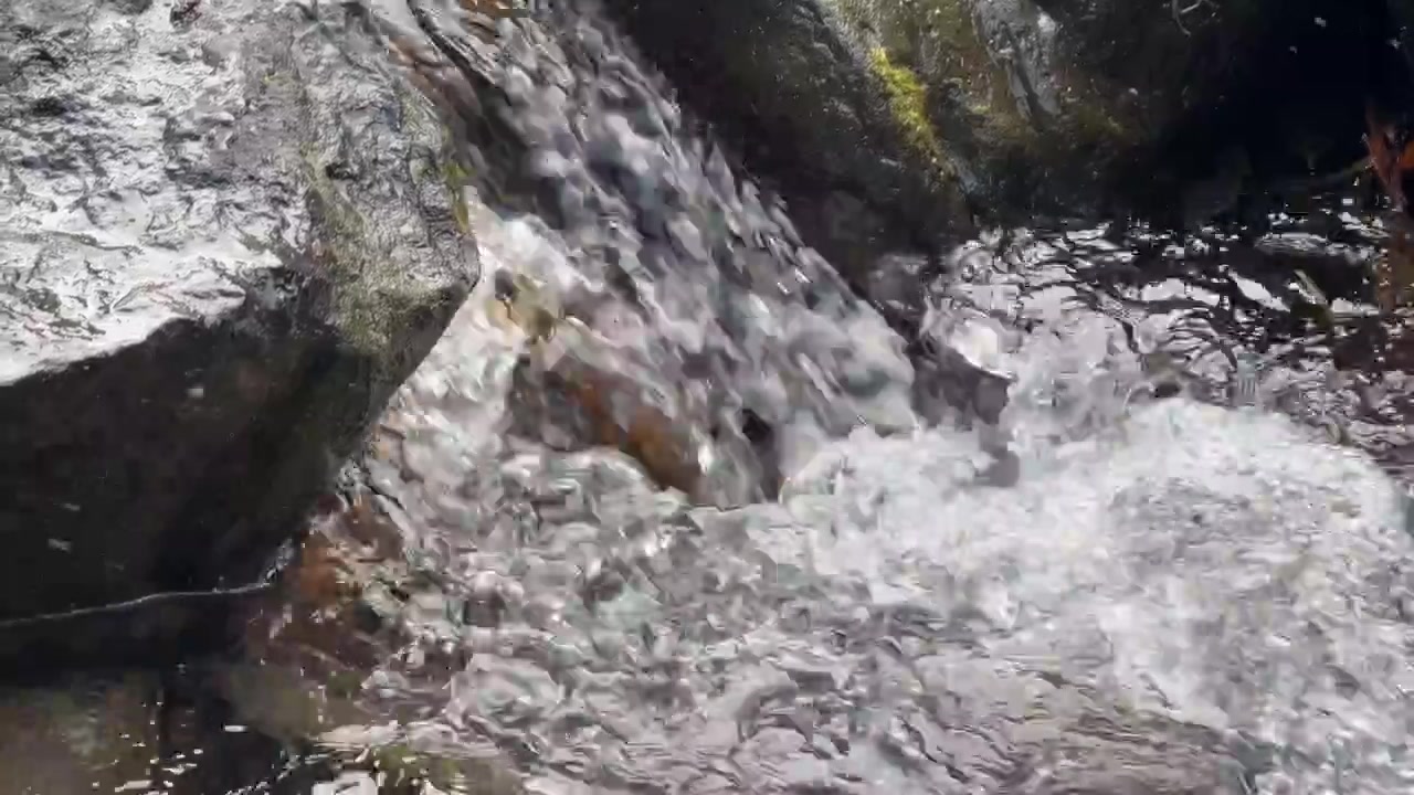 Piccola cascata che scorre sulle rocce in un ruscello della foresta