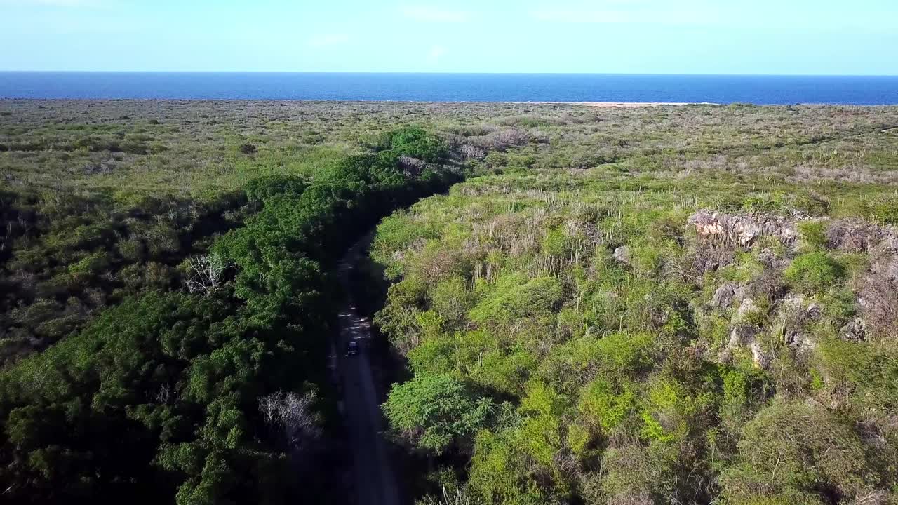 vista aérea del carro en la inclinación hacia arriba de un automóvil que conduce hacia la playa de kanoa, frecuentada por surfistas, isla holandesa de curacao, mar caribe