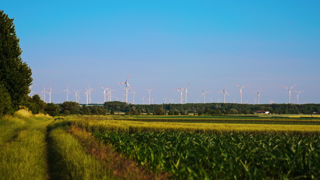 Expansive wind turbines on a sunny day. Wind turbines stand tall in a green field under a clear blue sky, showcasing renewable energy in a rural landscape