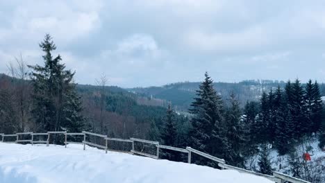 Vista-De-Un-Paisaje-Blanco-Nevado-Con-Abetos-Y-Una-Valla-De-Madera-En-Primer-Plano