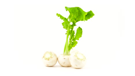 several whole and cut white radish roots with leaves. rotating on the turntable. isolated on the white background. close-up. macro.