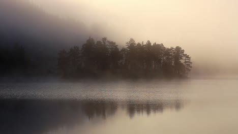 Nebliger-Herbstmorgen