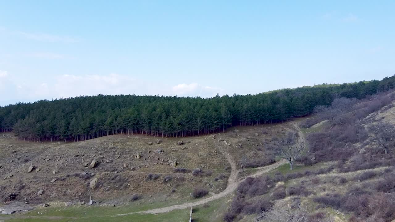 imágenes aéreas, volando al bosque de pinos cerca de sopot, bulgaria