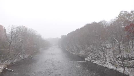 在霧天下雪時,被雪覆蓋的裸樹包圍的河流的靜態景色