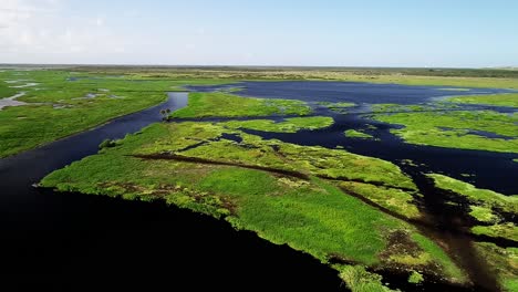 marshland along the saint john's river in cocoa, florida