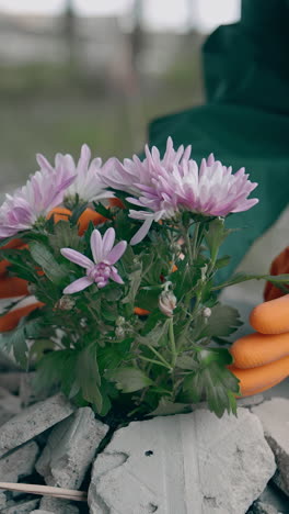 bunch of flowers in stones. ecologist in protective gloves and suit touching fresh flowers in place with chemical attack. ecological problems. vertical video