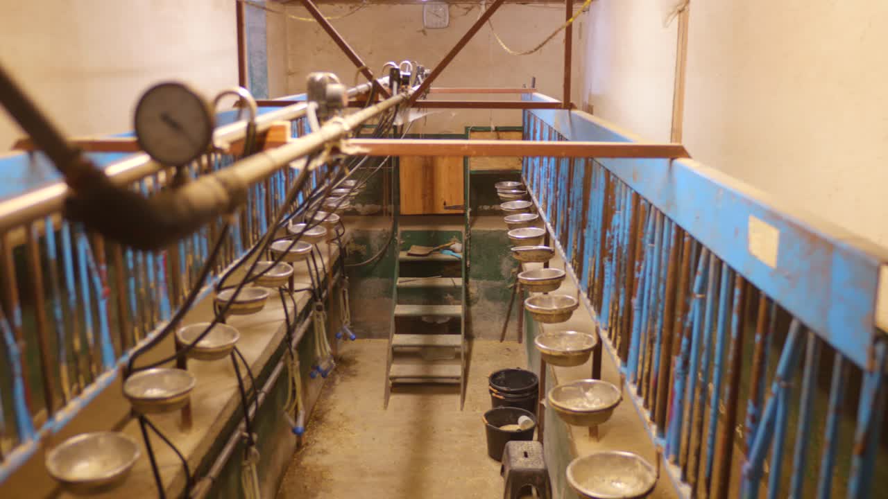View of an empty goat milking system with metal pipes, containers and equipment inside farm building