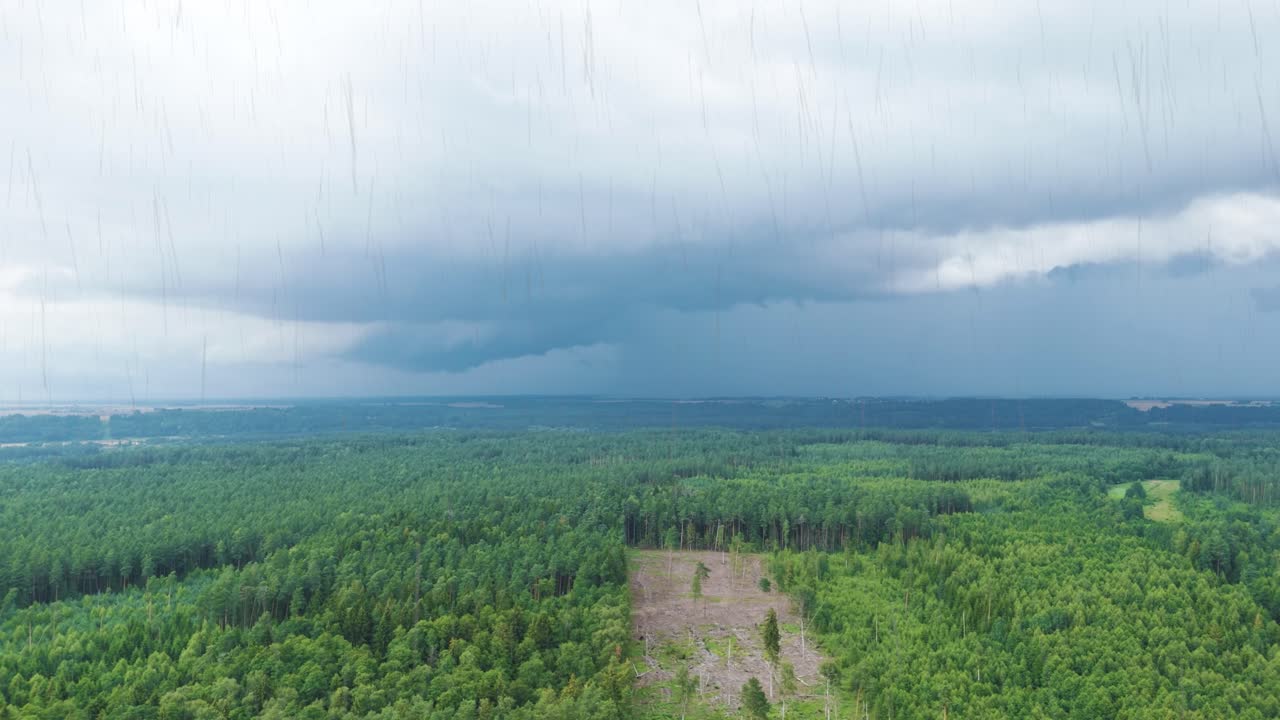 Green forest and powerful rainfall, aerial drone view