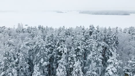 aerial view of a snow covered forest and frozen lake in winter