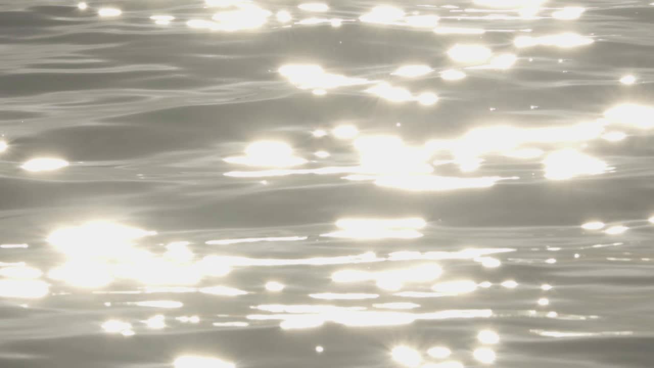 슬로우 모션에서 반사 하이라이트가 있는 파도