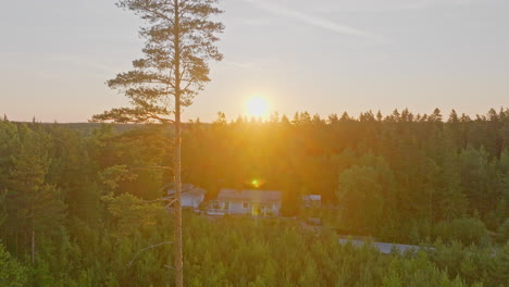 Aerial-view-away-from-of-a-self-sufficient,-house-in-middle-of-sunlit-forest