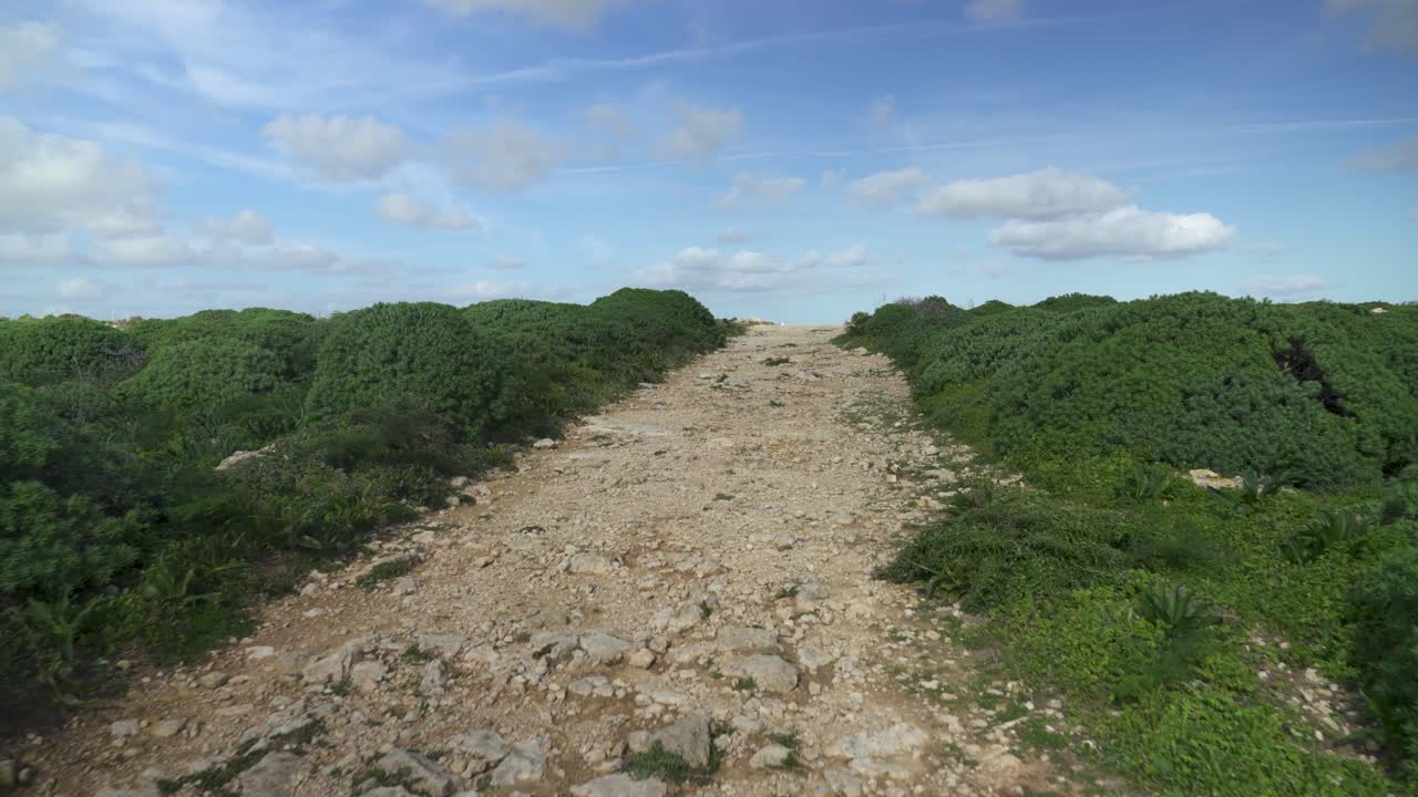 camino rocoso vacío que conduce a través de pequeños arbustos verdes en la isla de gozo en invierno