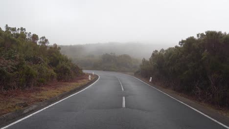 view of a road in the mountains of madeira island during winter, fog covering a section of the road