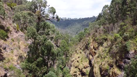 Antena---Rocky-Gully-Atraviesa-El-Paisaje-Interior-Australiano