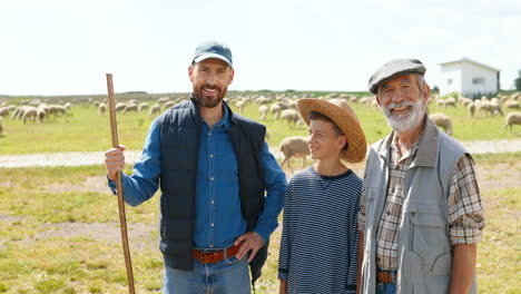 grandfather, father and grandson farmers looking at camera in green field while the sheep flock is grazing