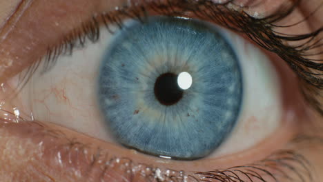 Nahaufnahme-Des-Menschlichen-Auges,-Das-Eine-Wunderschöne-Makroschönheit-öffnet
