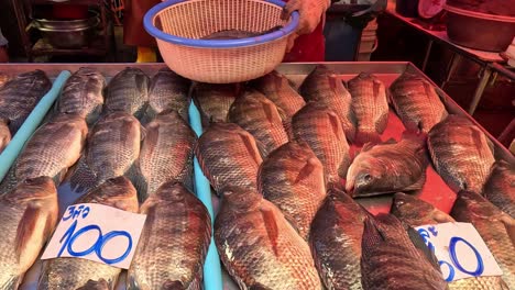 customer hand picks fish at a busy market