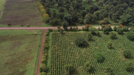 Aerial-view-of-the-agricultural-land-in-Arusha