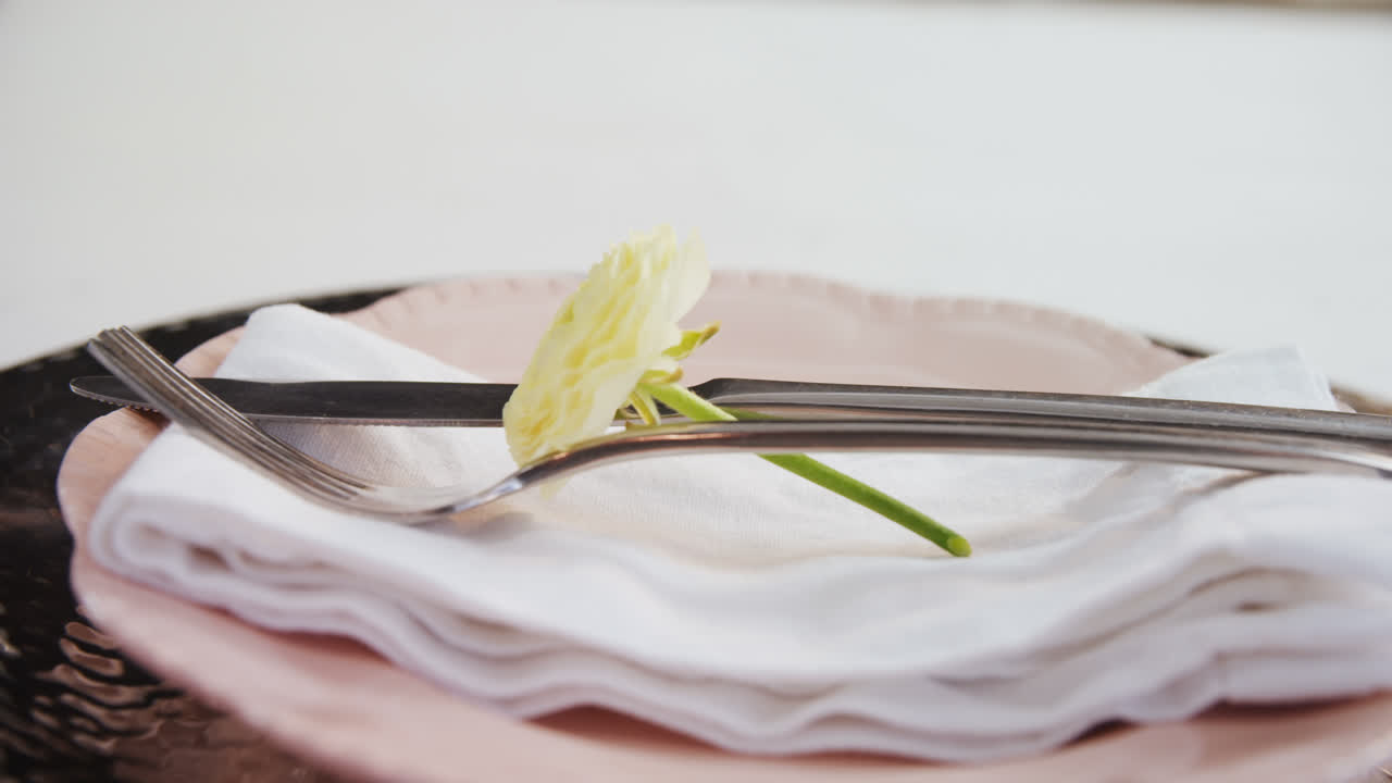 나무 테이블 4k에 다양한 식구