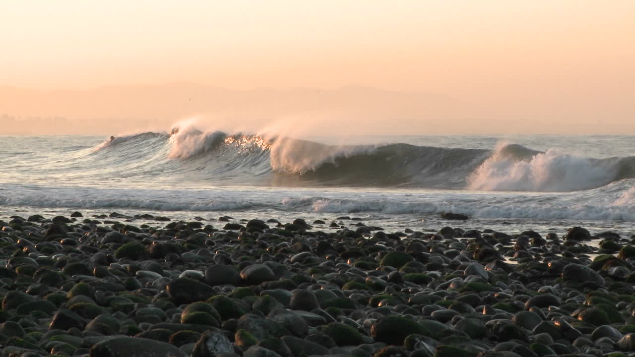 벤츄라 캘리포니아의 서퍼 포인트에서 파도를 타는 서퍼 팬